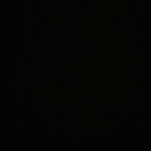 Meet your Posher, Shelton